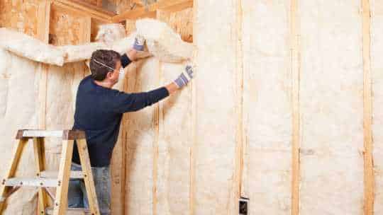 Insulation Services - ecoPest Wildlife Management