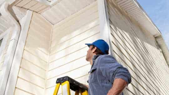 Wildlife Damage Repairs - ecoPest Wildlife Management